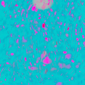 同性恋射精视频
